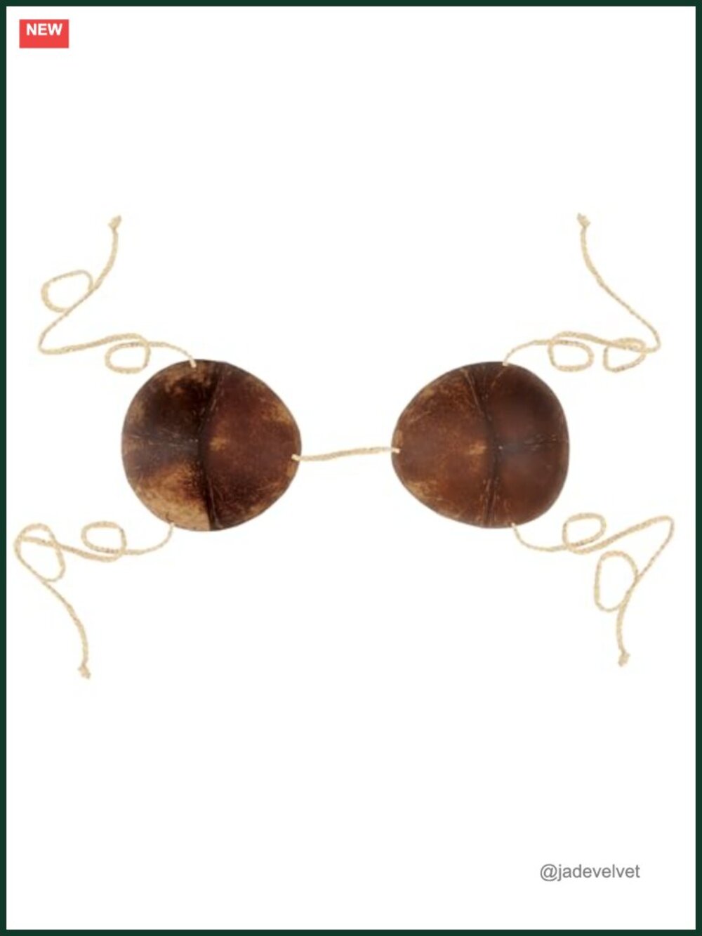 Real Coconut Shell Bikini Top Raffia Tie Strings Luau Halloween Costume